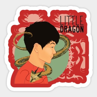 Kids Dragon Sticker